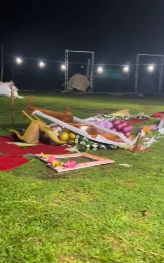 Ni la tormenta arruinó la «magia» de un 15 años