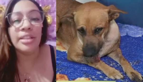 Dueña de "Canela" la jagua'i relata cómo ocurrió la explosión de cebollón que le rompió la mandíbula